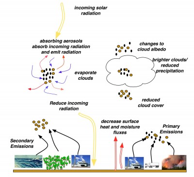Absorbing aerosols in the atmosphere and the various ways they interact with incoming solar radiation, clouds, and the dynamic and thermodynamic state of the atmosphere. 