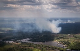 Forest burning near Manaus, Brazil, adds aerosols to the atmosphere that can delay or decrease precipitation because available moisture is spread over a greater number of seeds that must collide and coalesce to form rain drops.