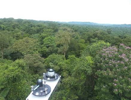 In this image from the GoAmazon campaign, instruments at the top of the eddy flux tower measure the key environmental variables that drive biogenic emissions from the canopy, including light and temperature. 