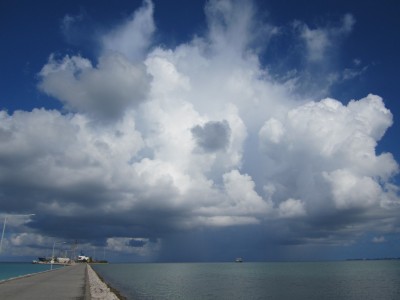 Atmospheric moist convection is a primary process that starts out with the formation of small shallow clouds that rise from the boundary layer. Under the right environmental conditions, they grow into deep thunderstorms that produce rain.