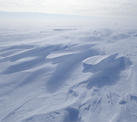 How the Arctic Shift From a Snow-Covered to Snow-Free Landscape Affects Surface Reflectivity