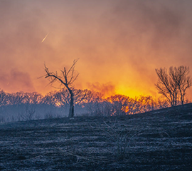 Scientists Examine the Black Carbon Impacts of Wildfires and Biomass Burning