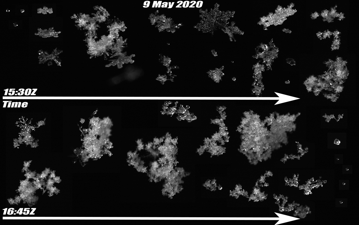 This image shows falling snowflakes captured with a machine-vision camera paired with a high-speed LED strobe. 