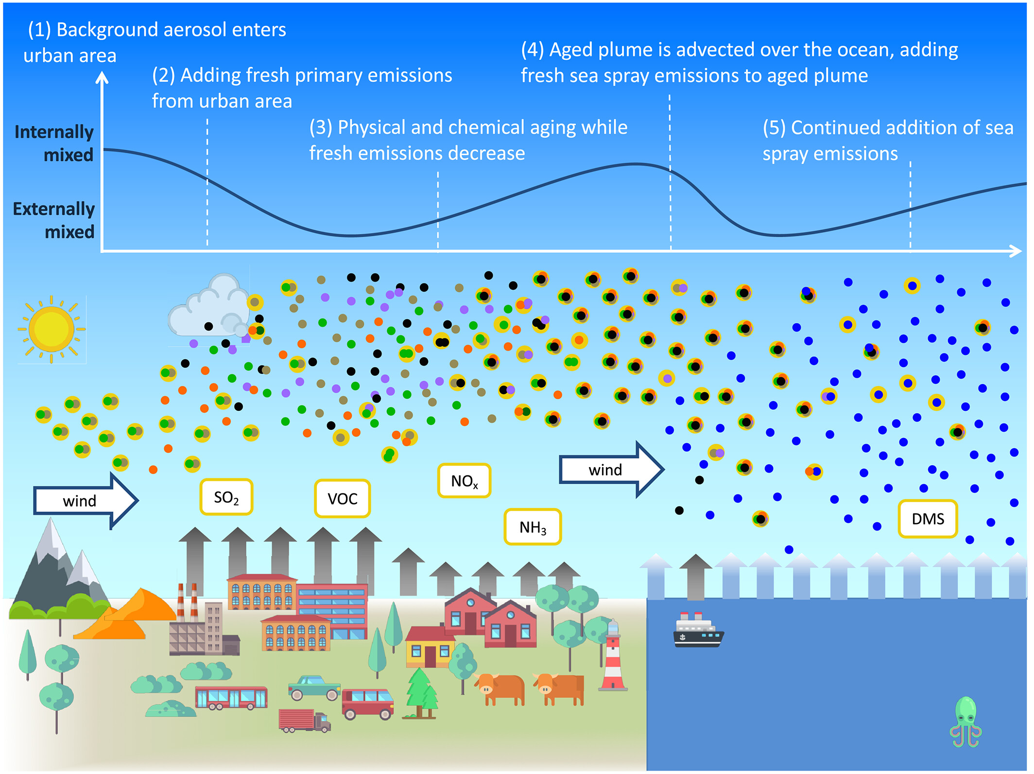 Illustration of aerosol processes