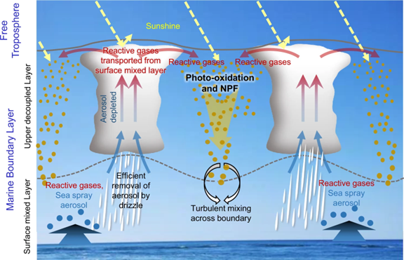 Illustration of aerosol processes and new particle formation.