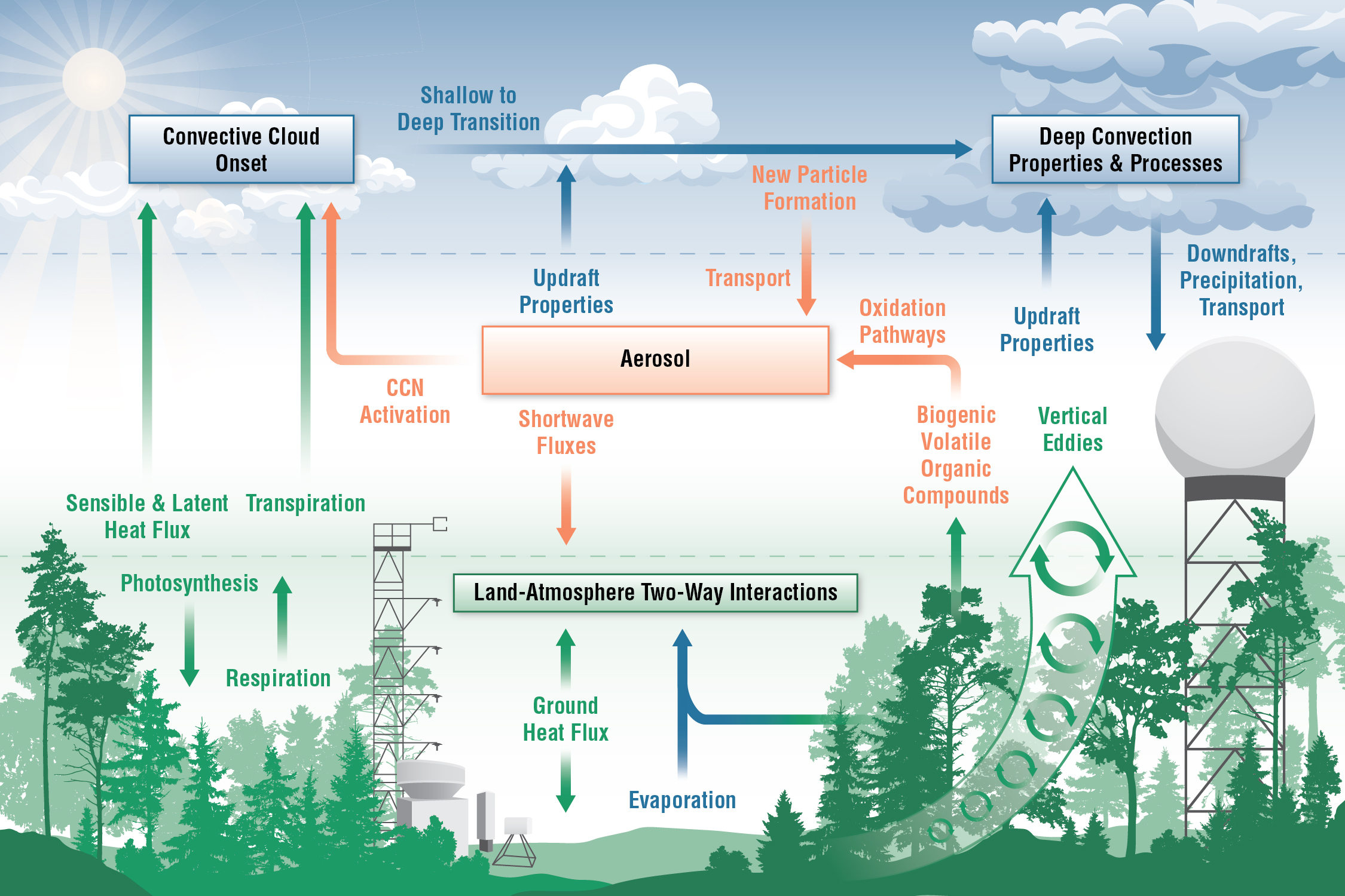 This schematic shows the high-level topical interests of the team overseeing BNF science activities. The three main topical areas are aerosols, convective clouds, and land-atmosphere interactions, with a number of cross-cutting science drivers across the three topics.