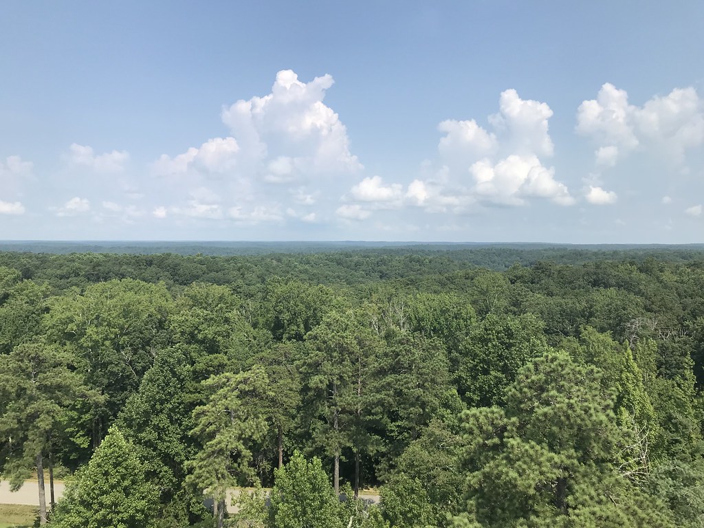 This view looks out over Alabama’s Bankhead National Forest, which will soon host an ARM mobile observatory for five years to help scientists study aerosols, clouds, and land-atmosphere interactions. Photo is by Shawn Serbin, Brookhaven National Laboratory.