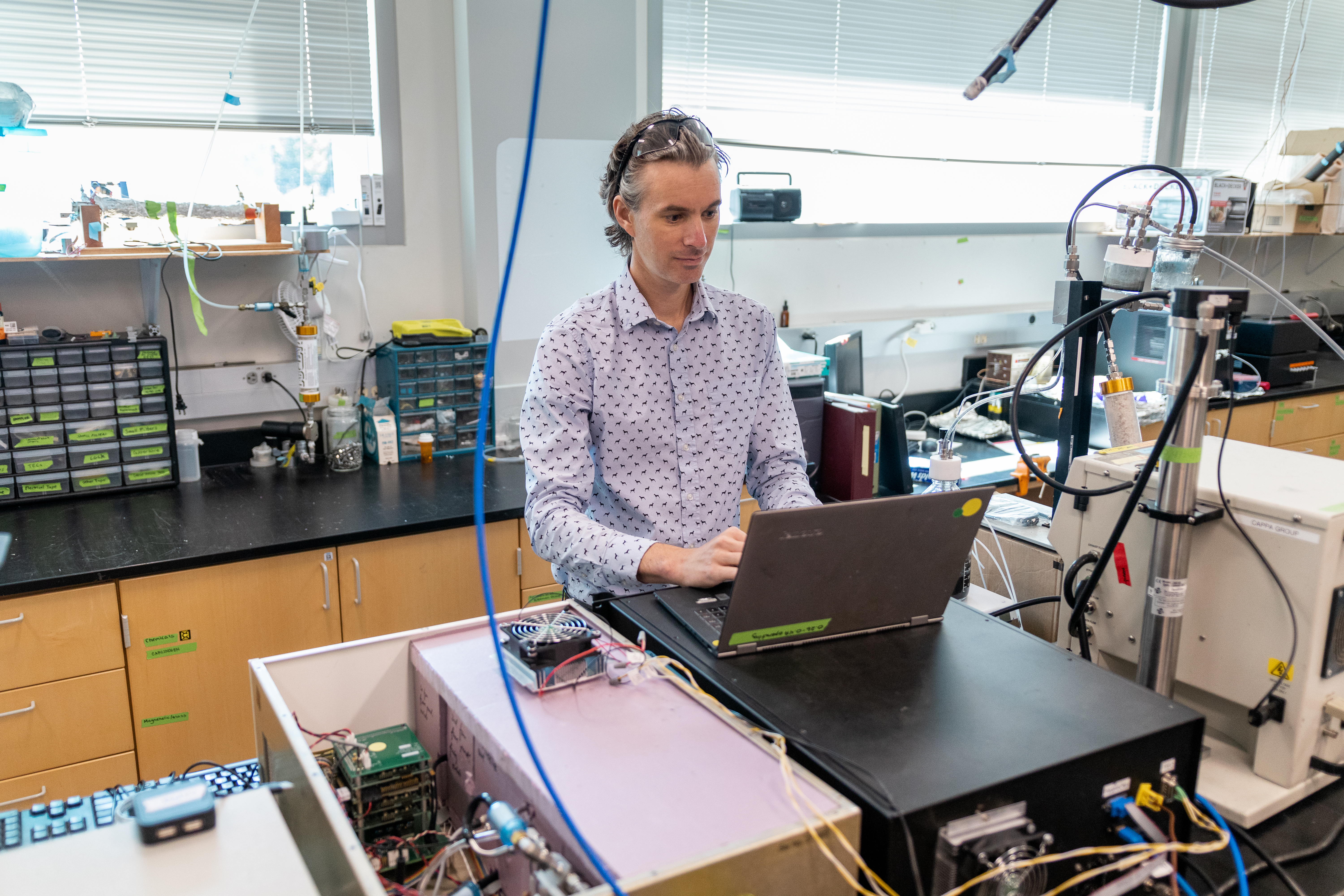 Cappa at work in the Cappa Group laboratory. 