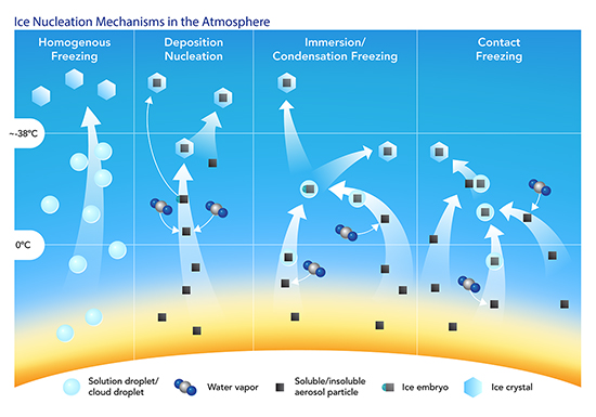 There are several ice nucleation mechanisms through which primary ice is formed. Knopf is focused on aerosol particles involved in the immersion-freezing pathway.