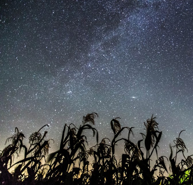 The night sky at Lauwersmeer National Park in the Netherlands. Stars were Van Leeuwen’s earliest academic crush. Photo courtesy of DarkSky.