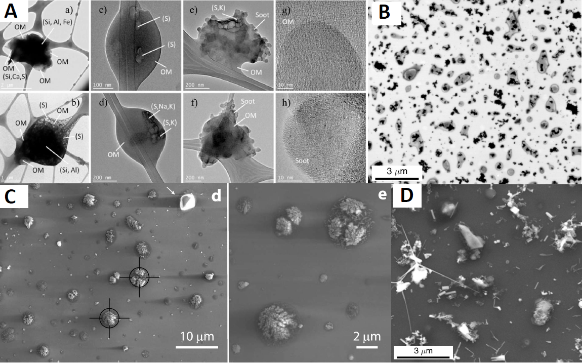 As illustrated above in sample images from Knopf’s Aerosol Research Laboratory, chemically complex aerosol particles are collected on substrates to enable microscopic imaging. Pictured are particles from the free troposphere in the eastern North Atlantic (A), urban aerosols from Los Angeles (B), ambient-air particles from near Sacramento, California (C), and aerosol collected near a waste incinerator in Mexico City (D).