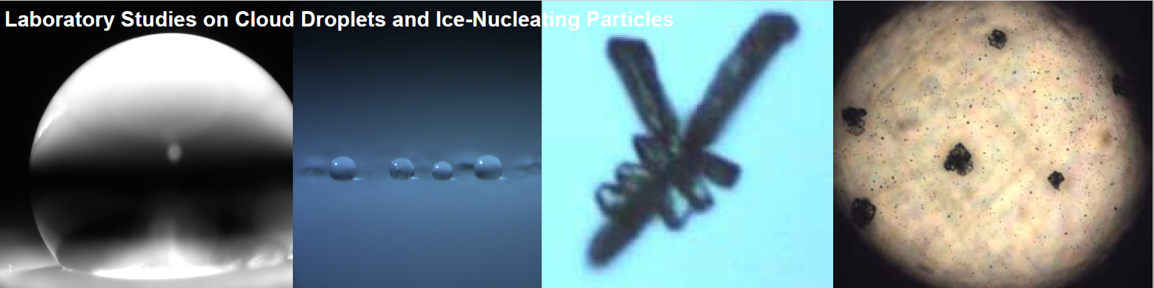 Knopf’s research group analyzes microscopic images of cloud droplets and ice nucleating particles, such as those above. The image second from the right is an ice crystal, a relatively rare feature in clouds―but one on which most precipitation depends. 