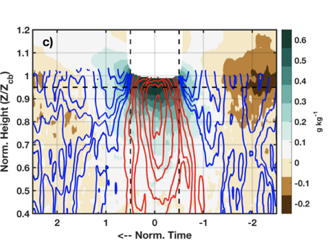 Lareau spends a lot of time visualizing data and analyses―an echo of his art training, he says. This graphic, showing vertical velocity, is one of four summarizing composite subcloud and cloud-base properties in the March 2020 paper based on his ASR project. Graphic is courtesy of Neil Lareau.