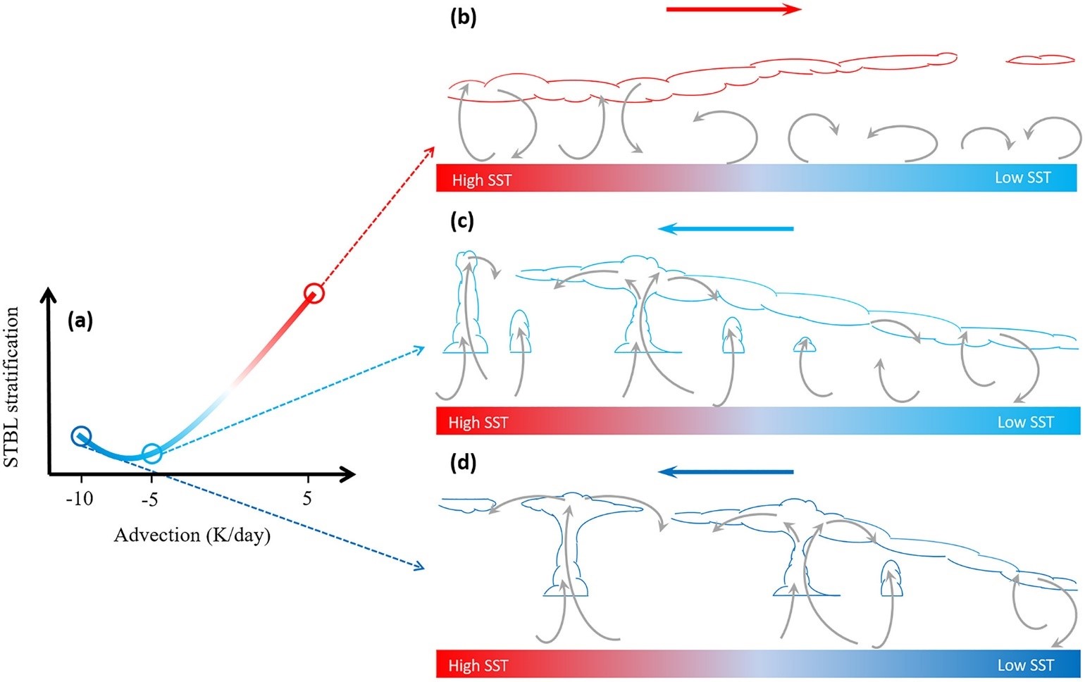 Little-studied low-level warm-air advection over colder sea surfaces (top drawing) is unfavorable for the vertical development of cumulus clouds. Frequently studied cold thermal advection over warmer seawater (middle and bottom drawings) allows marine boundary layer clouds to remain unstable and convective―that is, precipitating. 