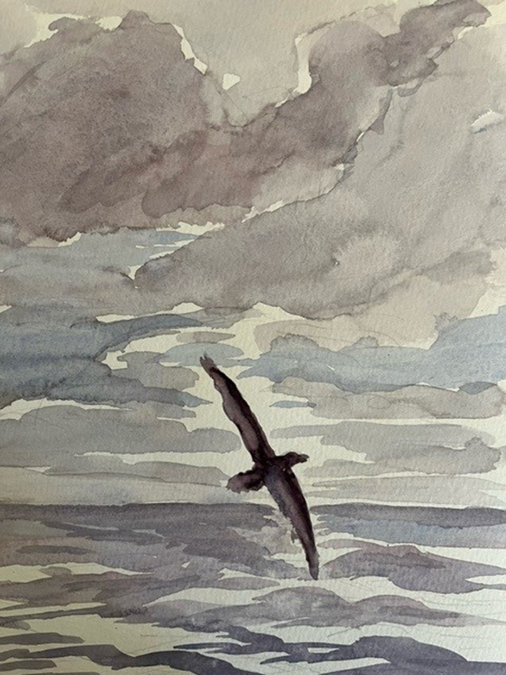 Mace painted this watercolor in January 2024 during a 65-day Southern Ocean voyage aboard the Australian research vessel Investigator. He estimates the deep-water scene was at about 50 degrees south latitude and 115 degrees east longitude. Photo is courtesy of Mace. 