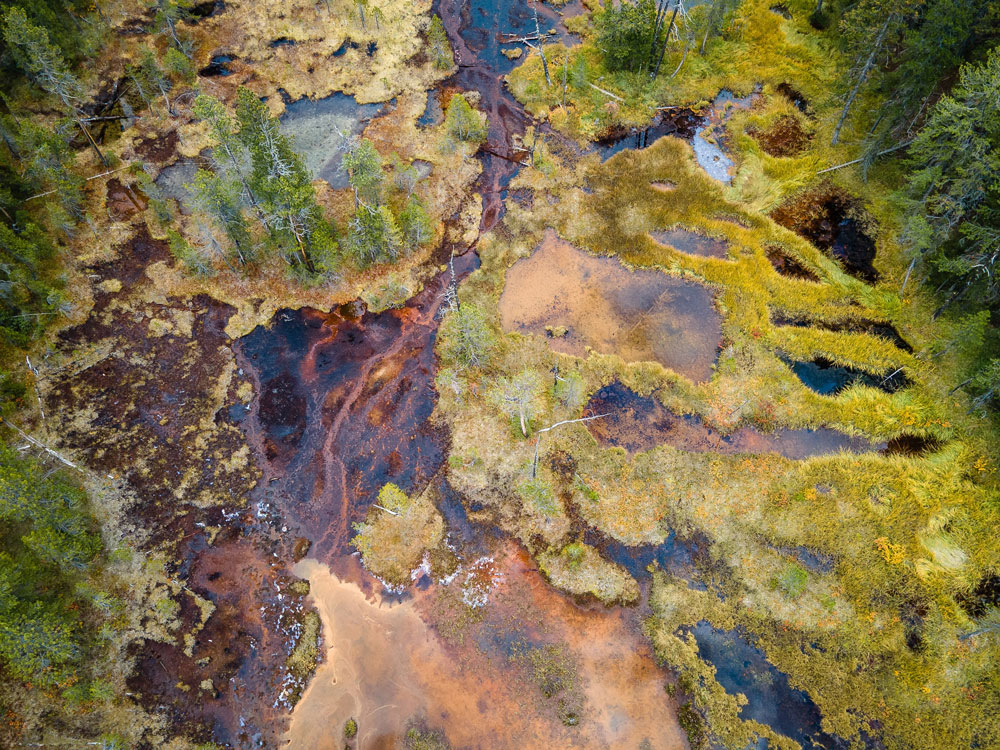 The complexity of the mountain ecosystems that store and deliver water to millions downstream is illustrated by this aerial view of forest, low vegetation, rock, soil, and metal-rich surface waters in Gunnison County, Colorado. Photo is by Snyder.