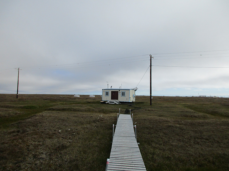 As part of an ARM field campaign, researchers collected aerosols in August and September 2015 at this tundra site outside of Utqiaġvik, Alaska, near ARM’s North Slope of Alaska site. That work helped researchers uncover new information about the composition of aerosols found in the Arctic. 