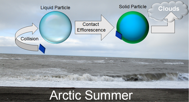 As the Arctic loses ice, researchers expect to see more unique particles formed from oceanic emissions combined with ammonia from birds, which will affect cloud formation and climate. 